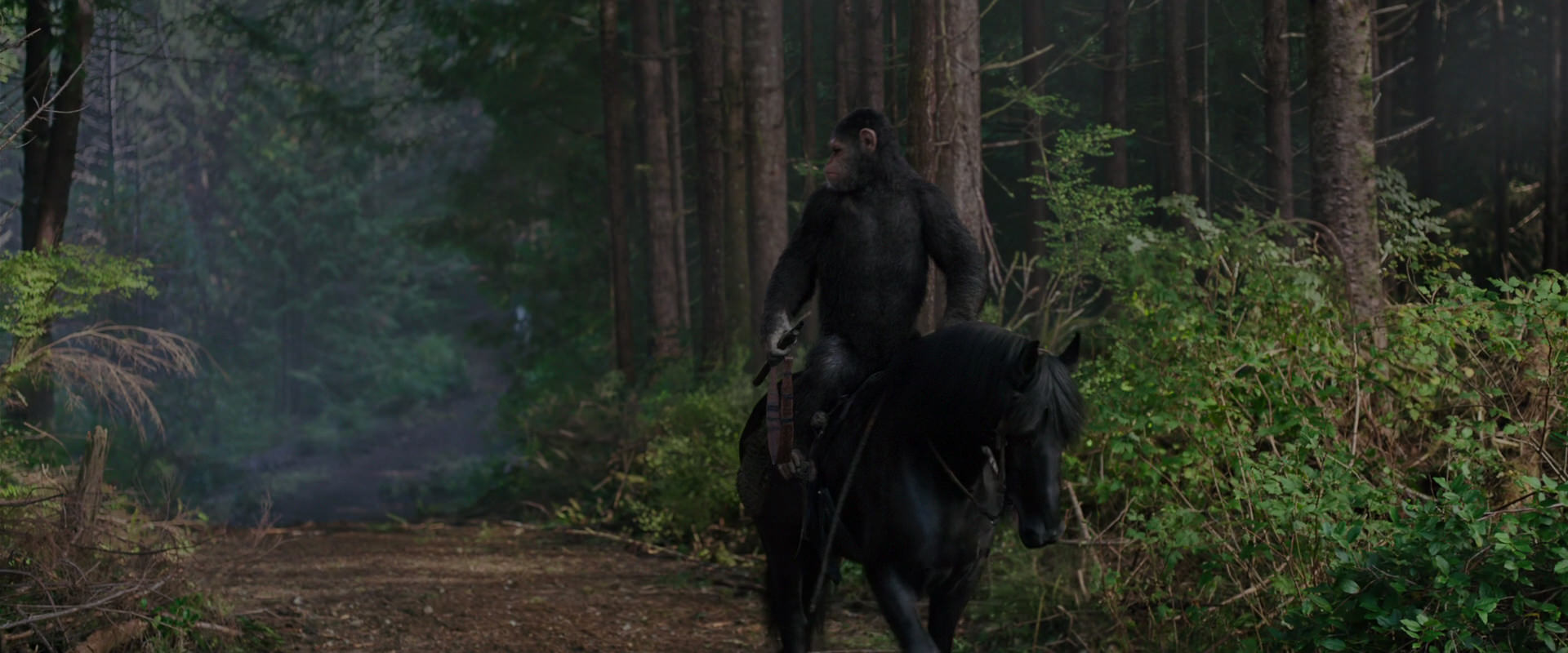 War for the Planet of the Apes (2017) movie still 3013