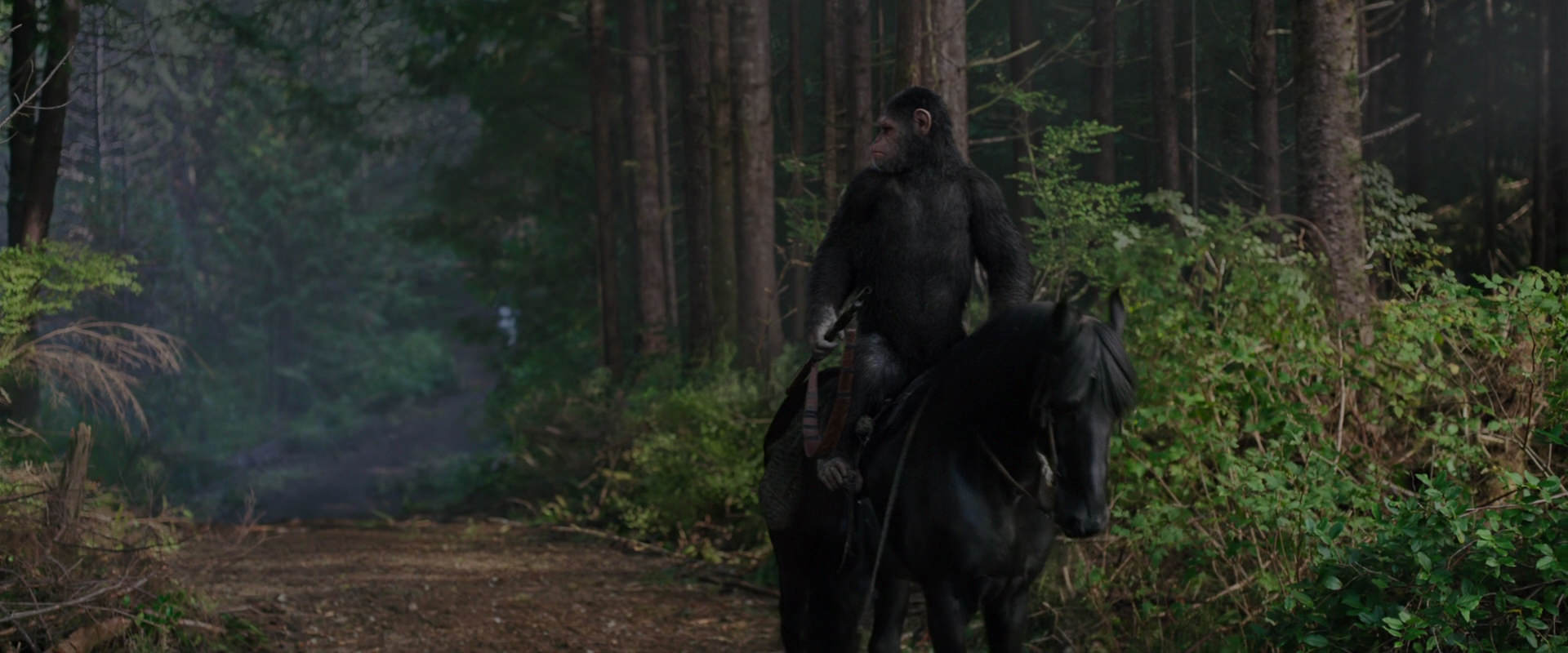 War for the Planet of the Apes (2017) HD screenshot 3014