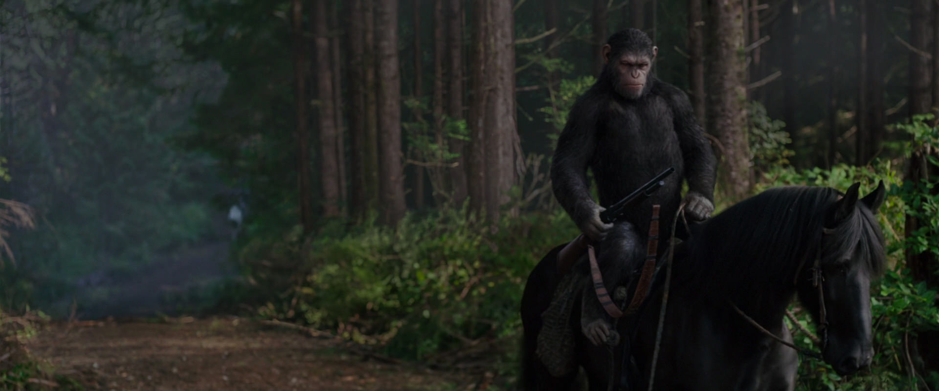 War for the Planet of the Apes (2017) screencap 3018