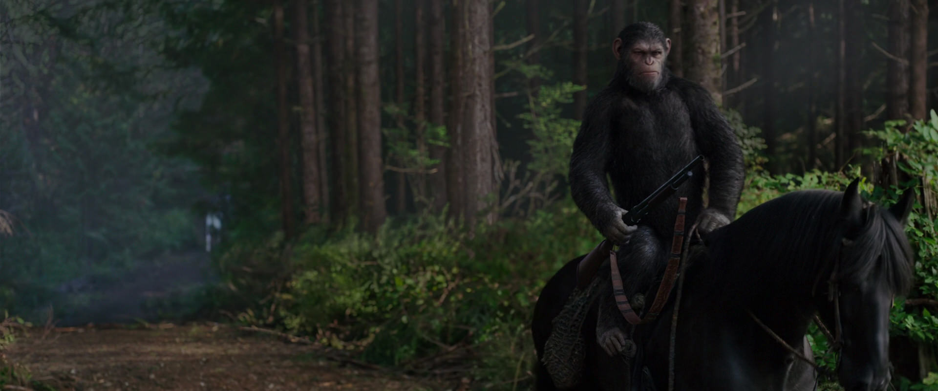 War for the Planet of the Apes (2017) movie still 3019