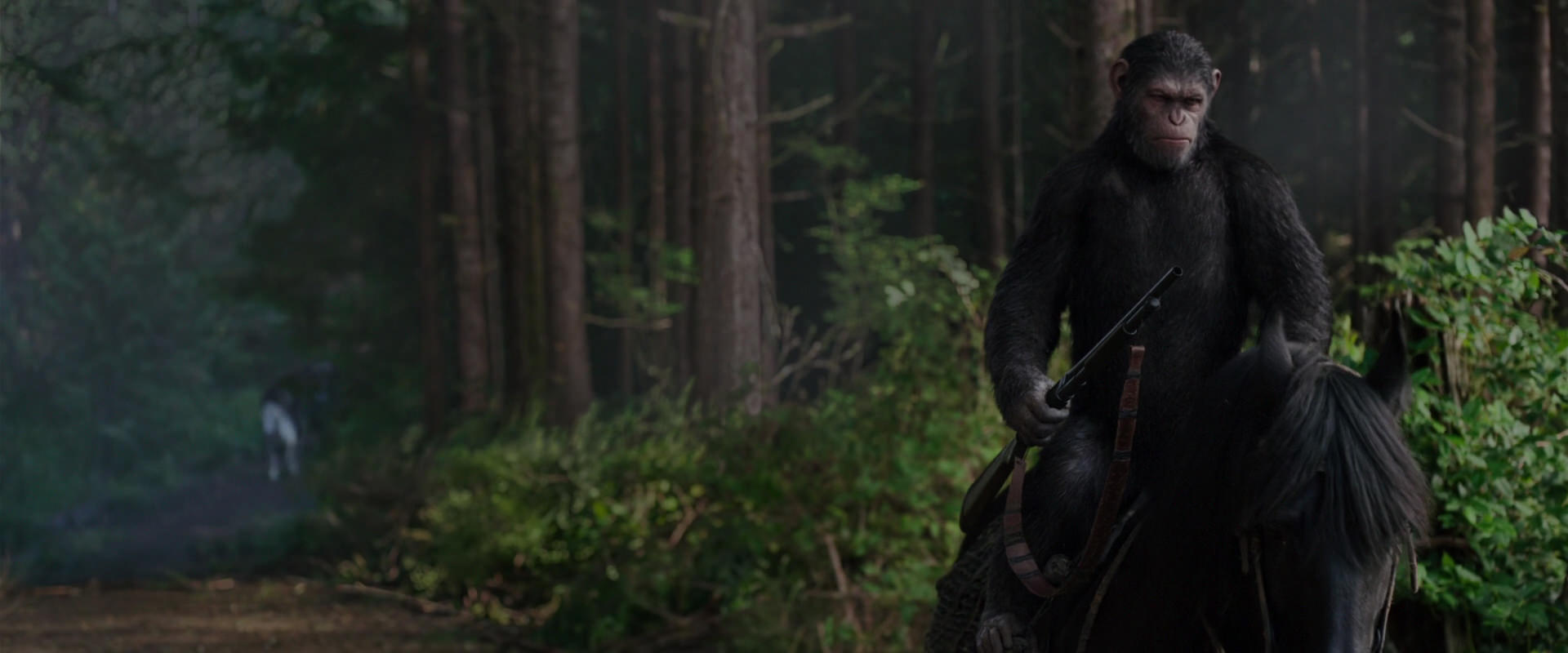 War for the Planet of the Apes (2017) movie still 3022