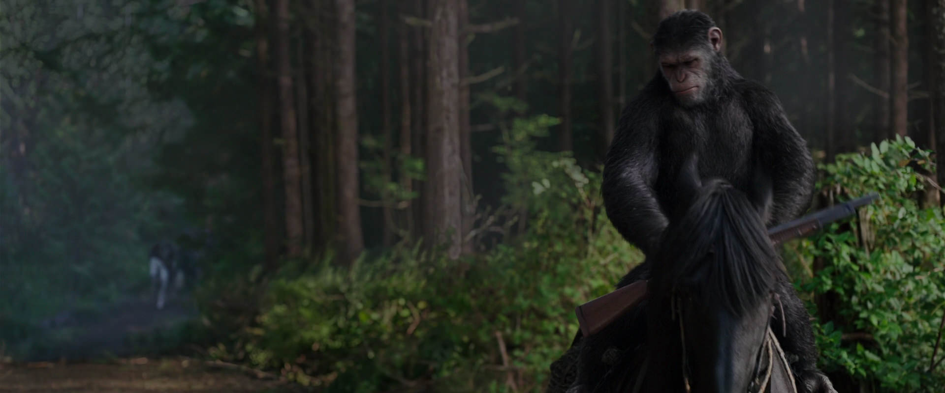 War for the Planet of the Apes (2017) screencap 3024