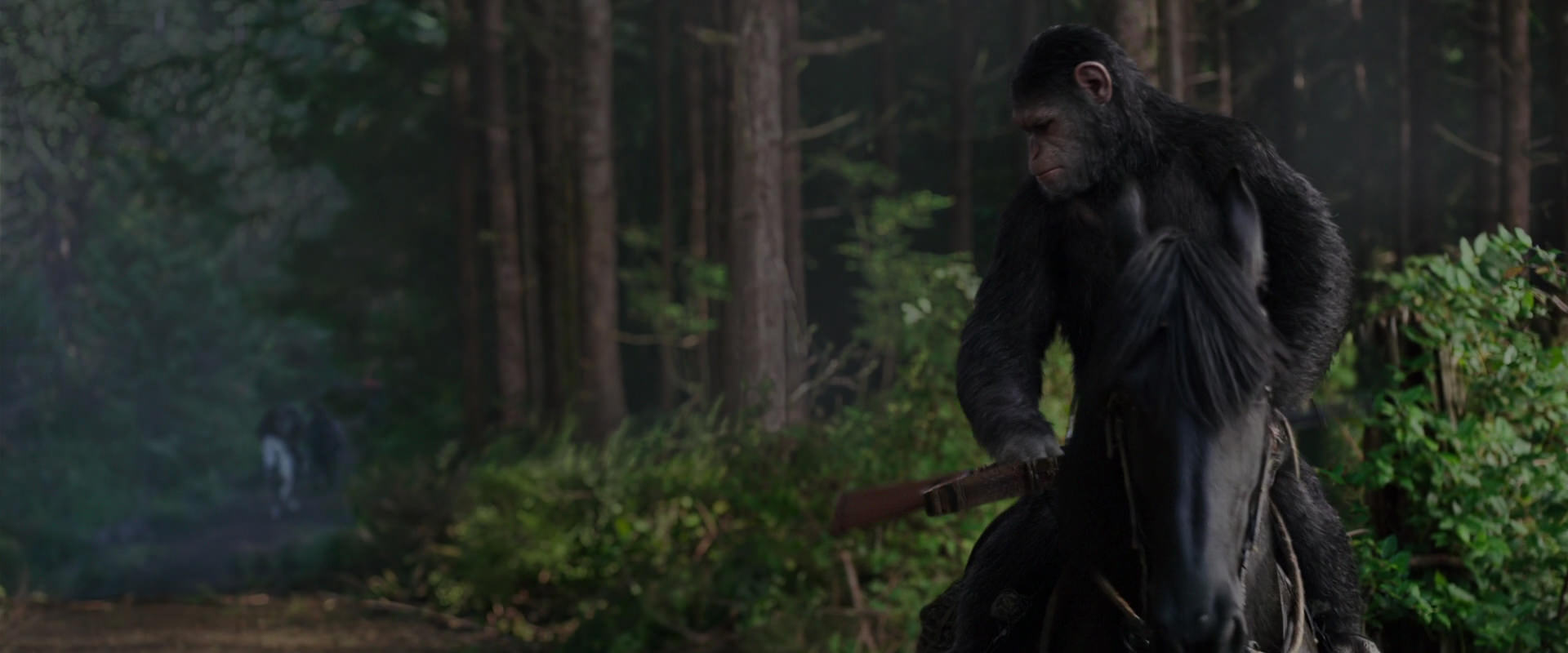 War for the Planet of the Apes (2017) movie still 3025