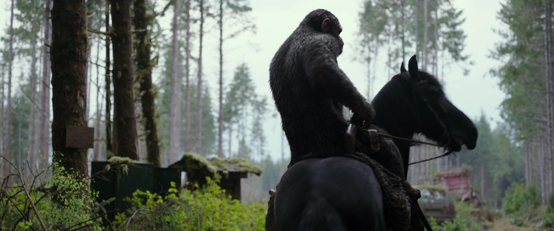 War for the Planet of the Apes (2017) HD screenshot 3026