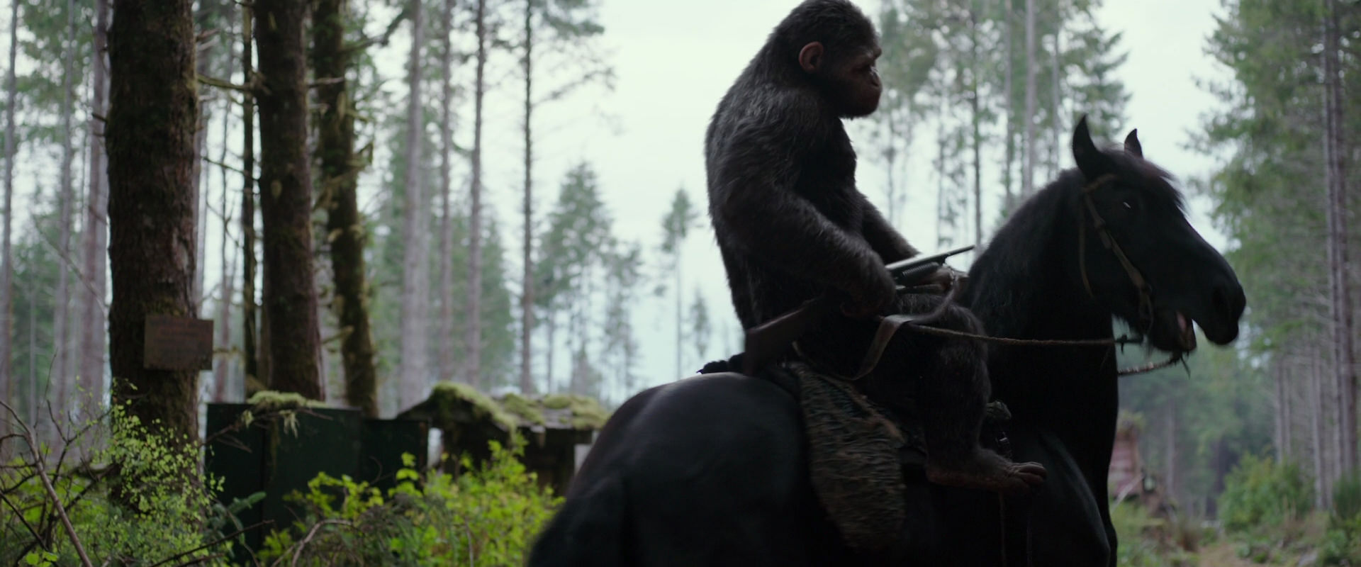 War for the Planet of the Apes (2017) screencap 3027