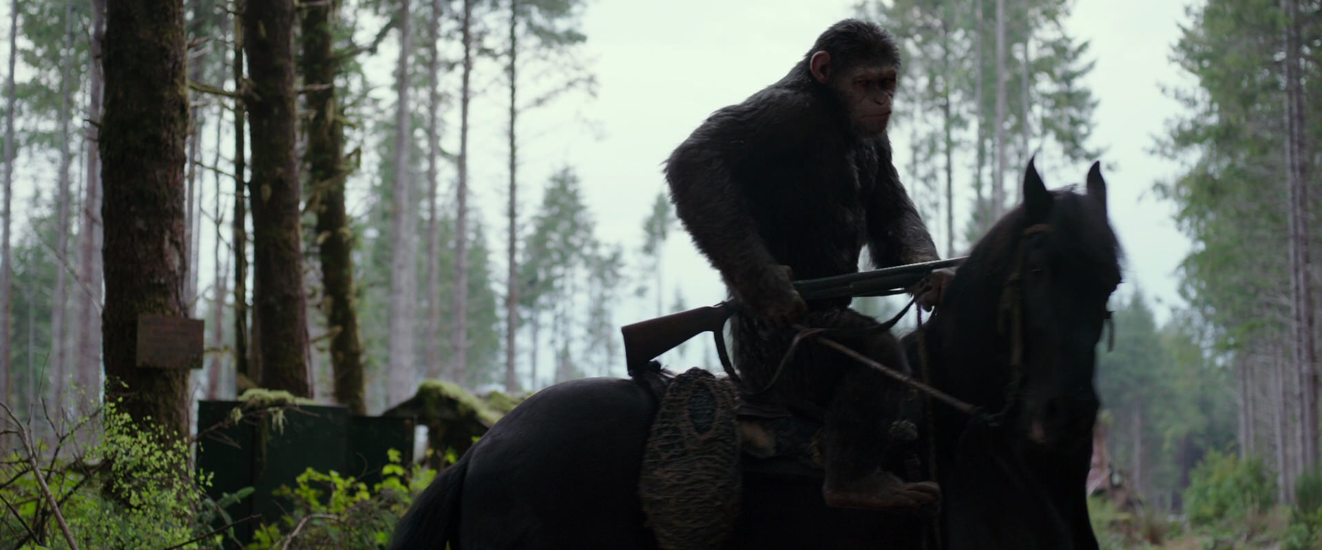 War for the Planet of the Apes (2017) movie still 3028
