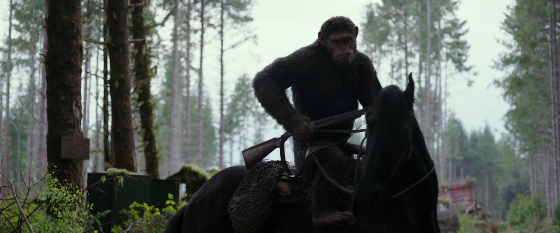 War for the Planet of the Apes (2017) HD screenshot 3029