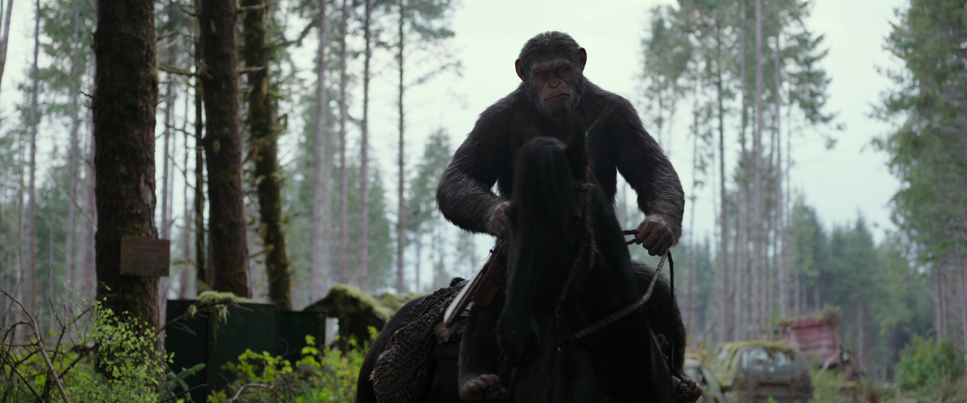 War for the Planet of the Apes (2017) screencap 3030