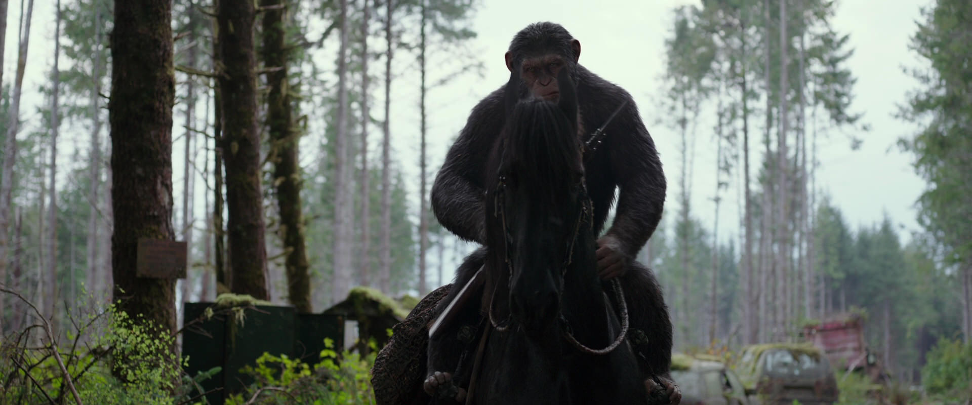 War for the Planet of the Apes (2017) movie still 3031