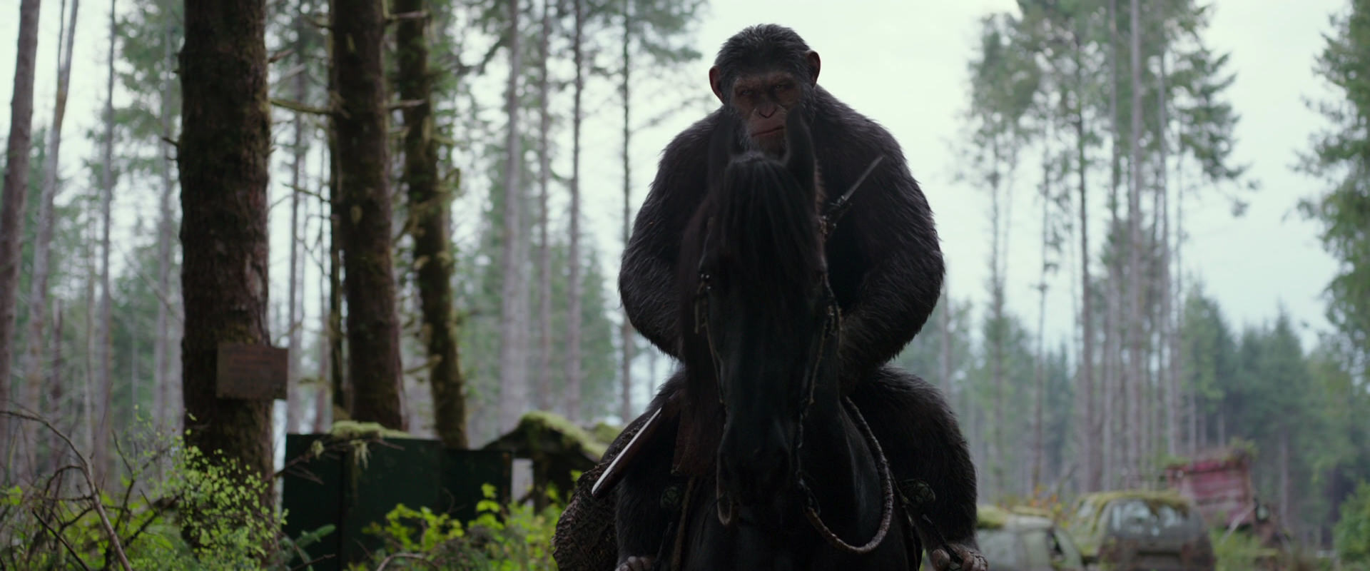 War for the Planet of the Apes (2017) HD screenshot 3032