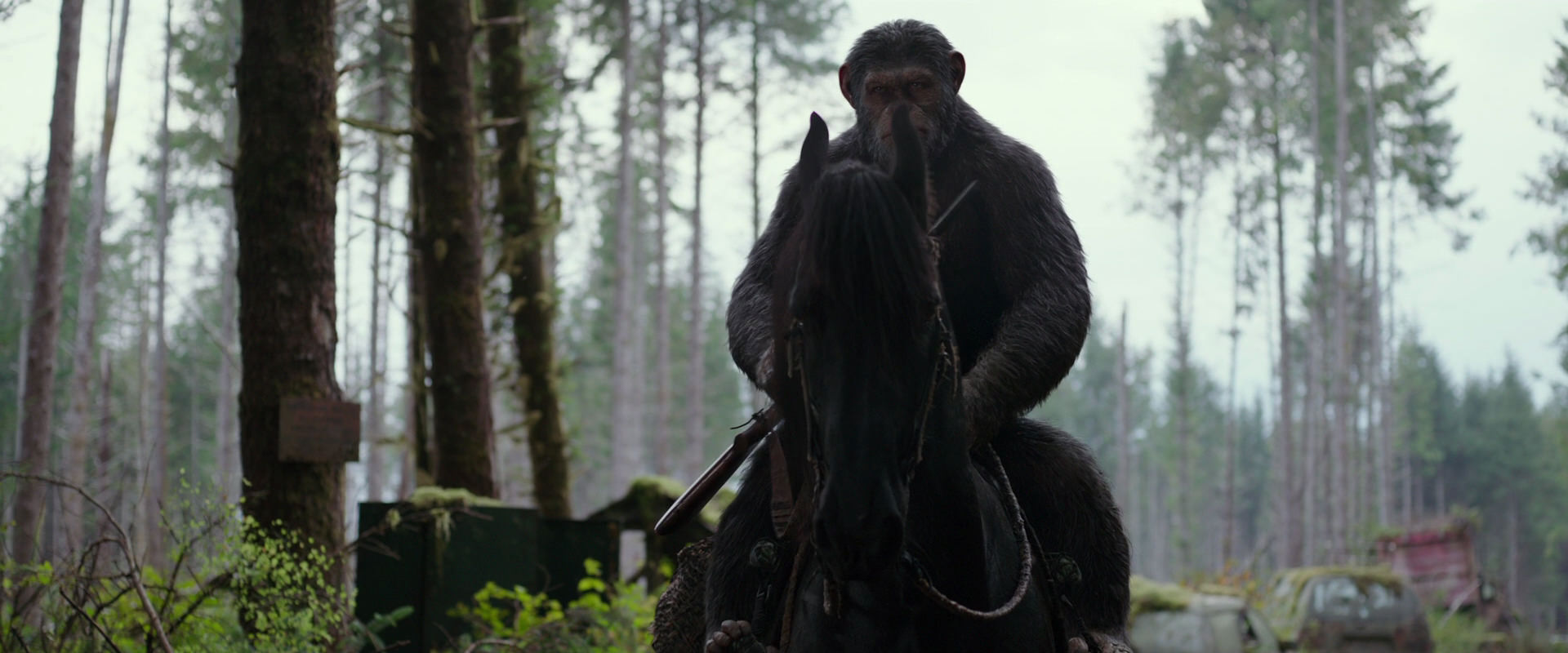 War for the Planet of the Apes (2017) screencap 3033