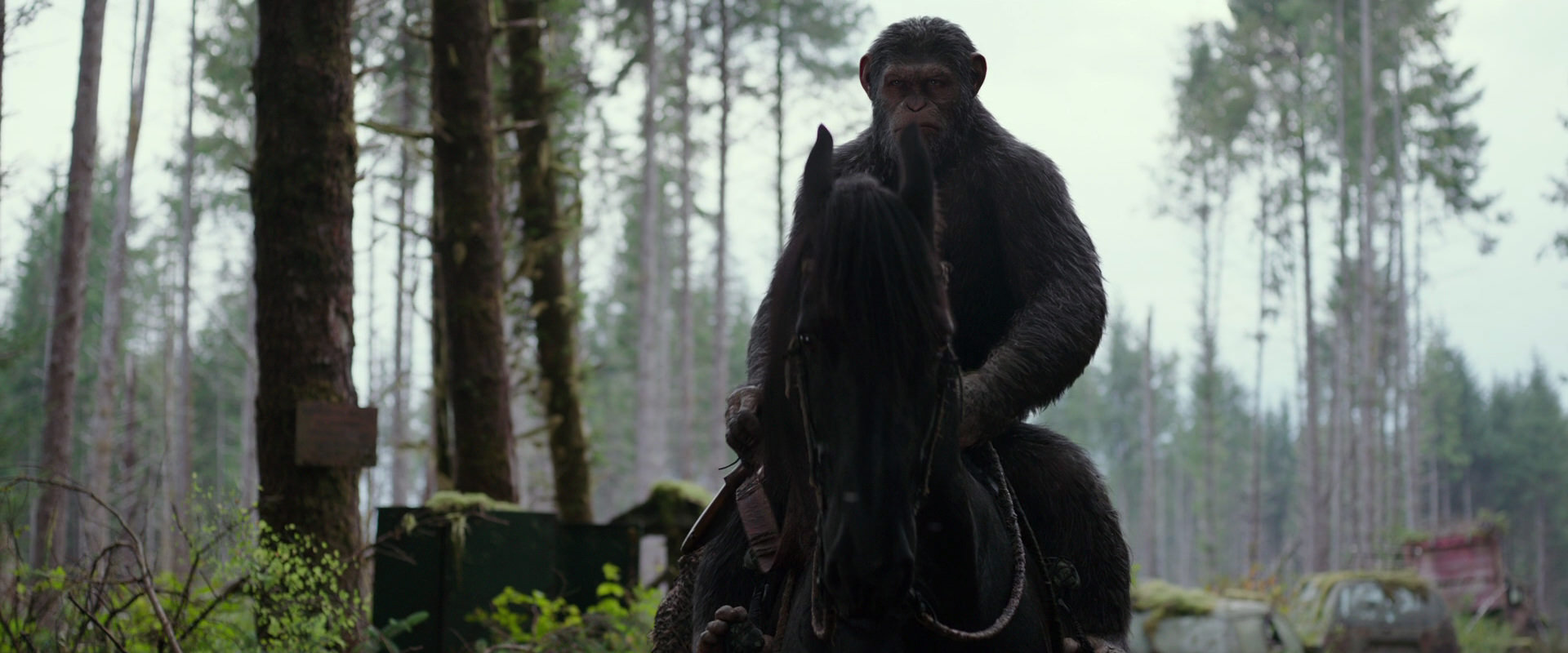 War for the Planet of the Apes (2017) movie still 3034