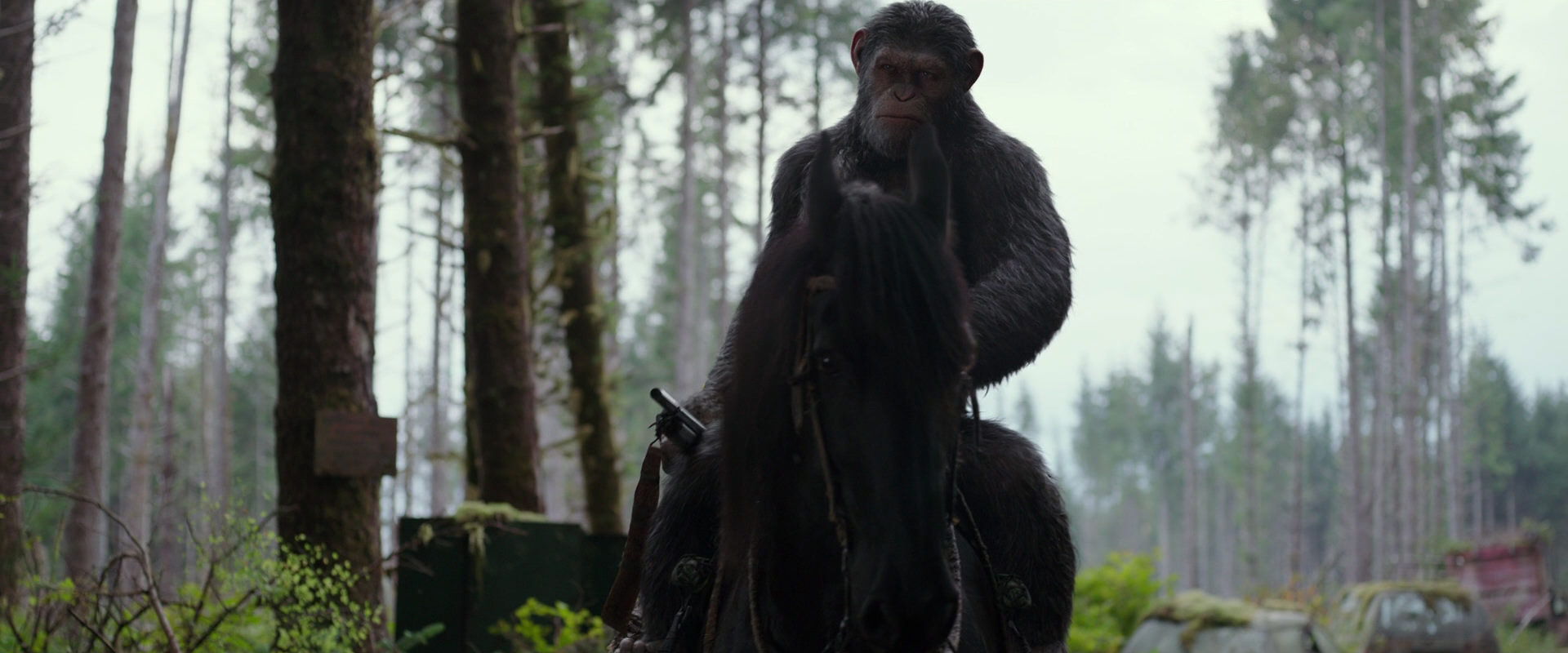 War for the Planet of the Apes (2017) screencap 3036
