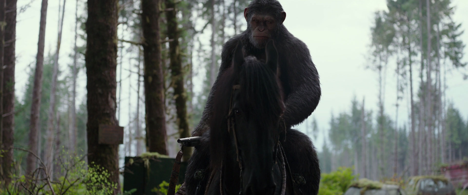 War for the Planet of the Apes (2017) movie still 3037