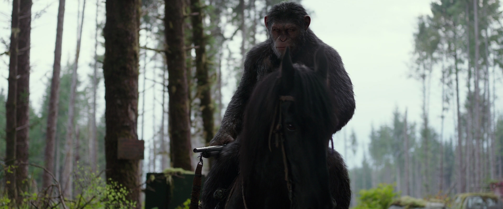 War for the Planet of the Apes (2017) HD screenshot 3038
