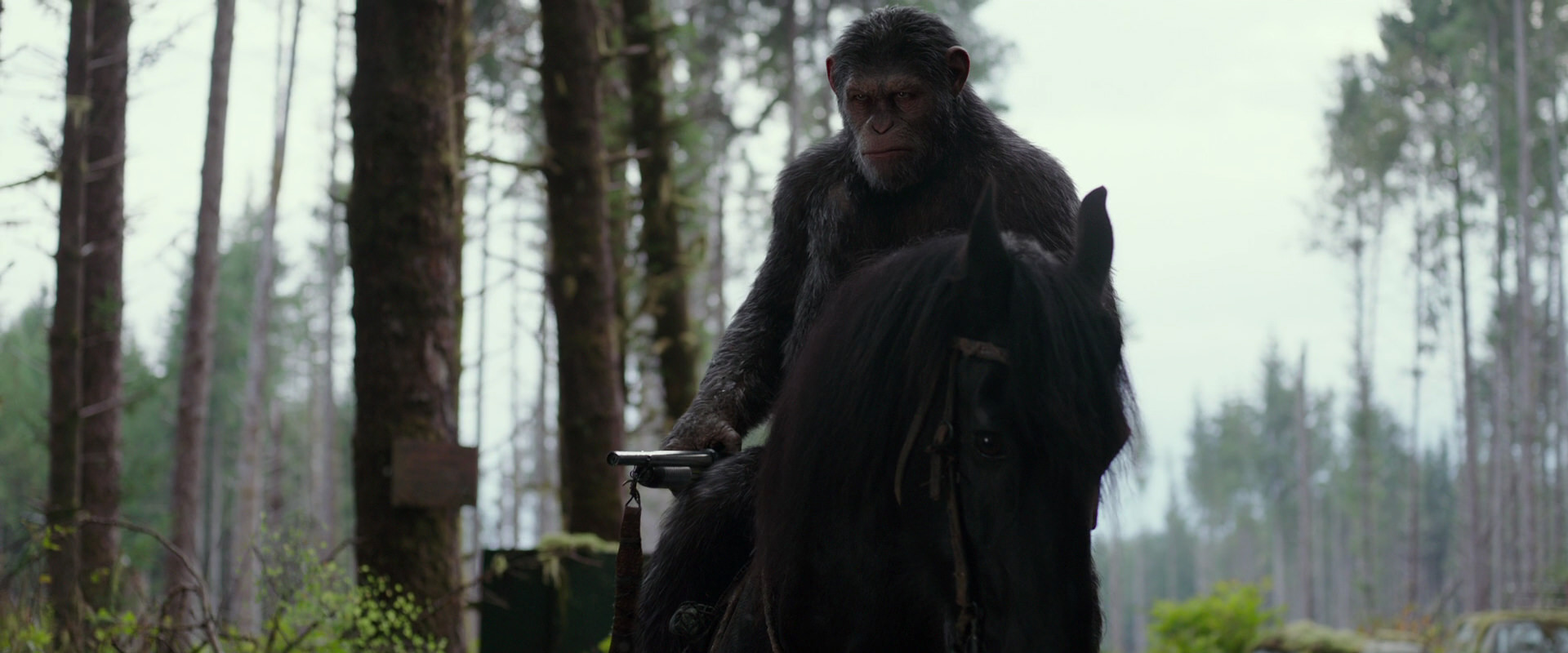 War for the Planet of the Apes (2017) screencap 3039