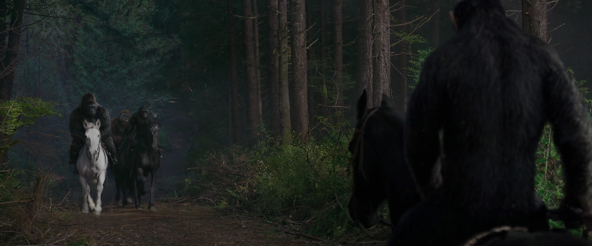 War for the Planet of the Apes (2017) movie still 3040