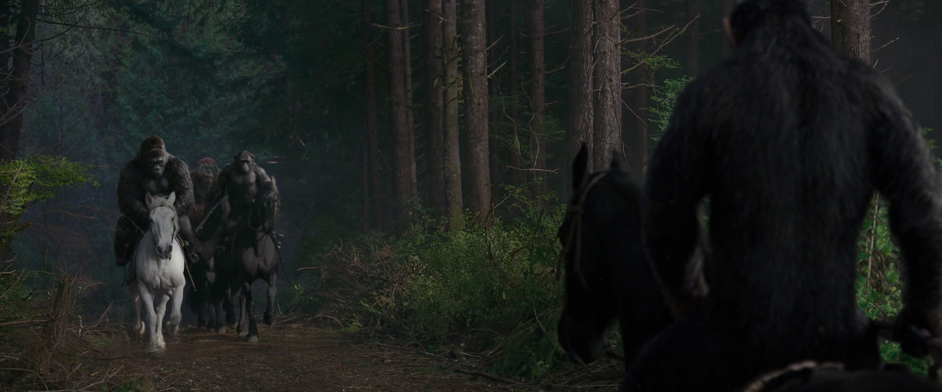War for the Planet of the Apes (2017) HD screenshot 3041