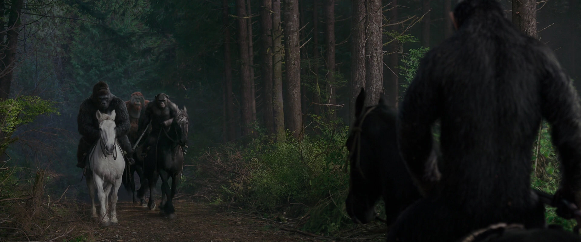 War for the Planet of the Apes (2017) screencap 3042
