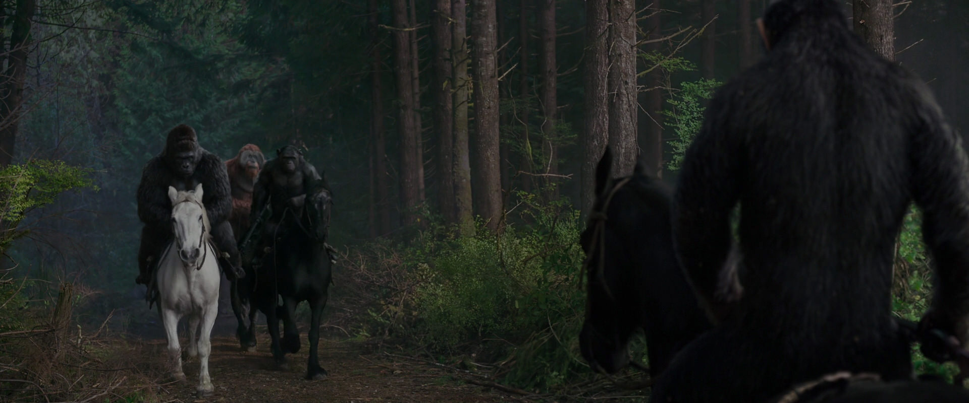 War for the Planet of the Apes (2017) movie still 3043