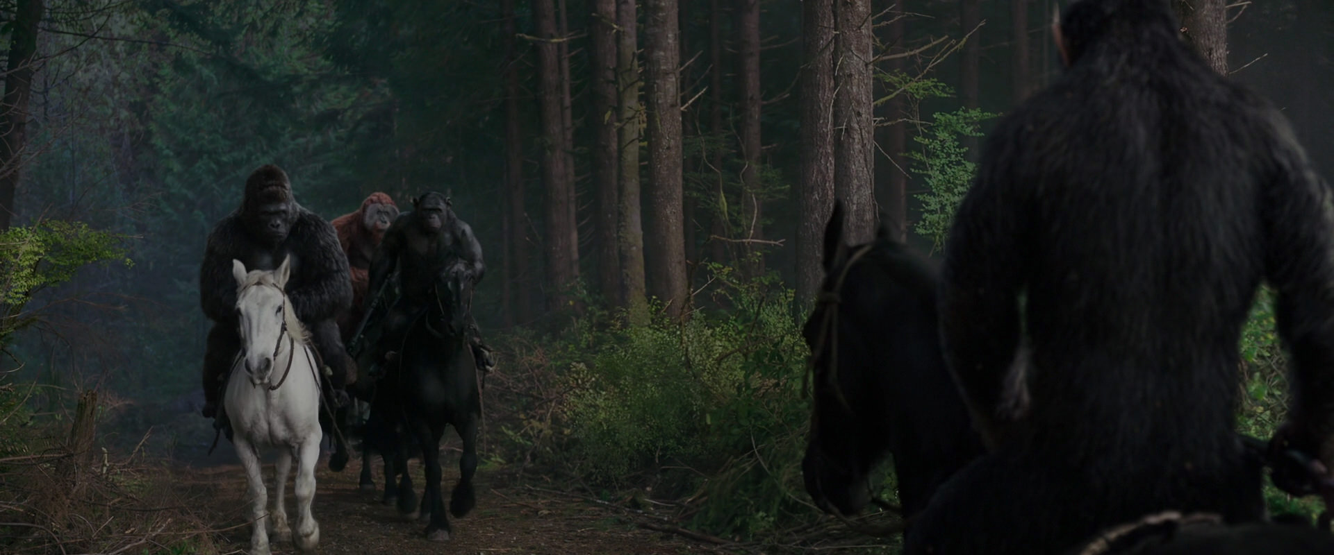 War for the Planet of the Apes (2017) HD screenshot 3044