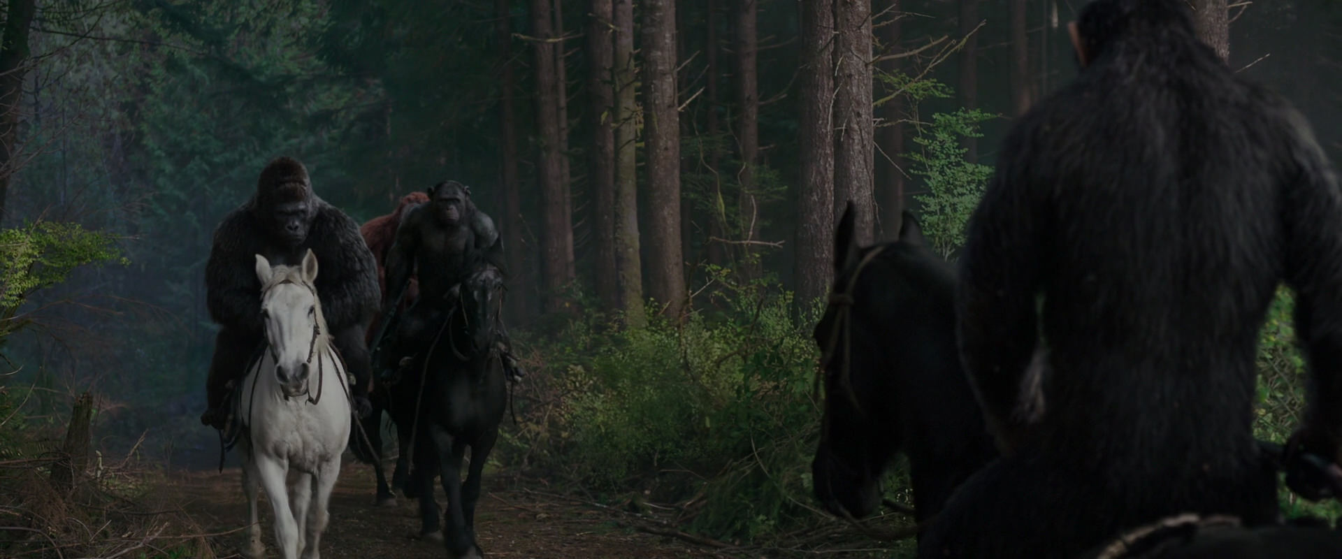 War for the Planet of the Apes (2017) screencap 3045