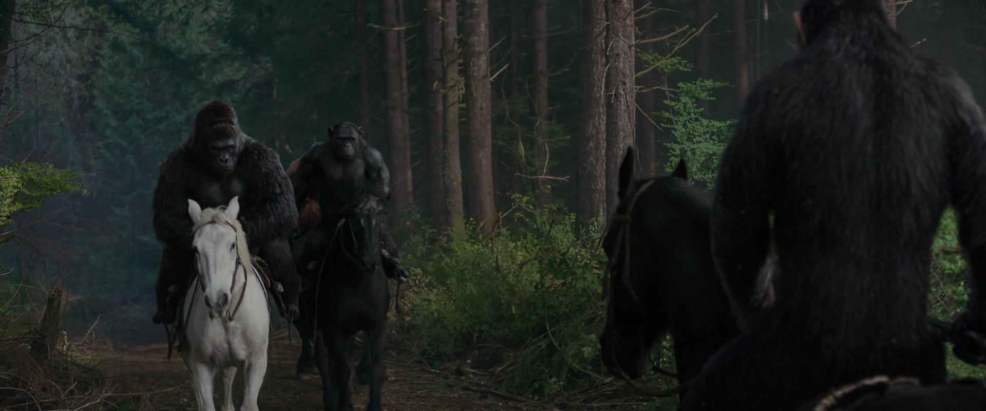 War for the Planet of the Apes (2017) movie still 3046