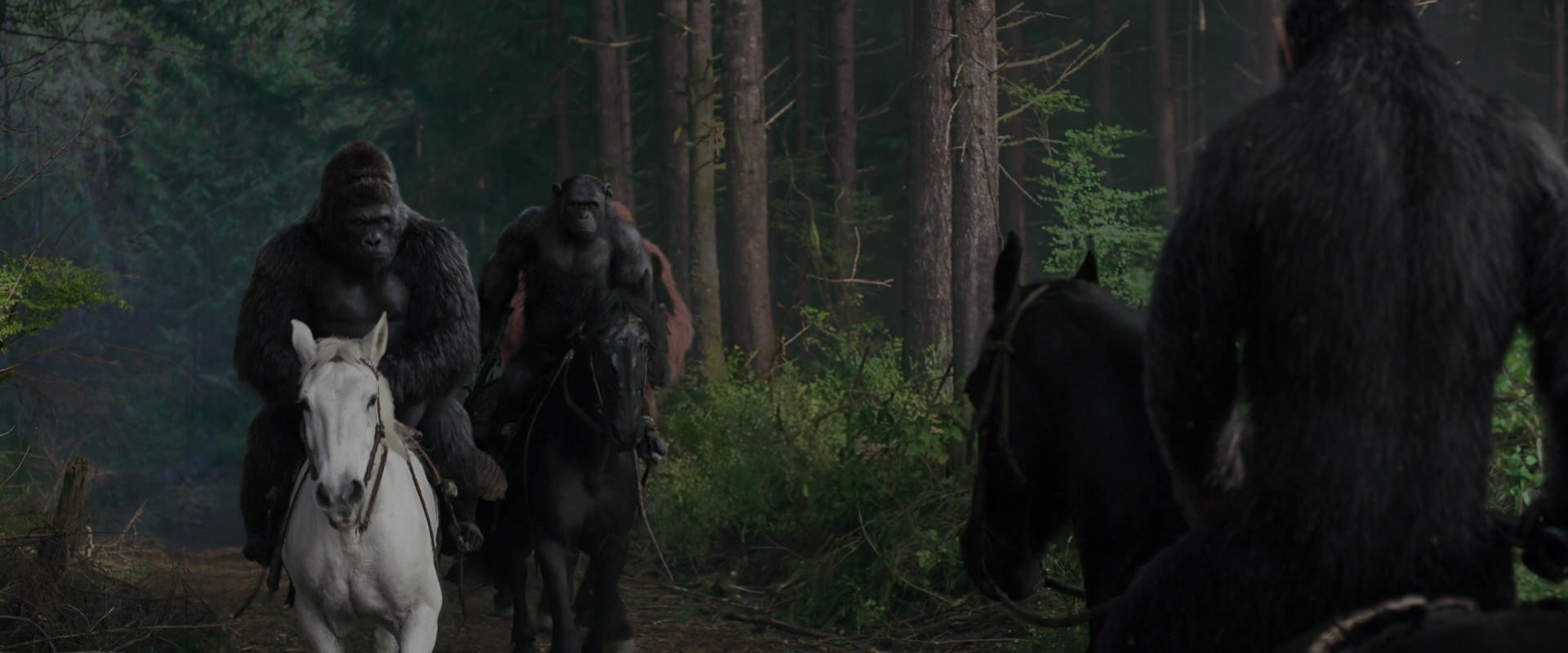 War for the Planet of the Apes (2017) HD screenshot 3047