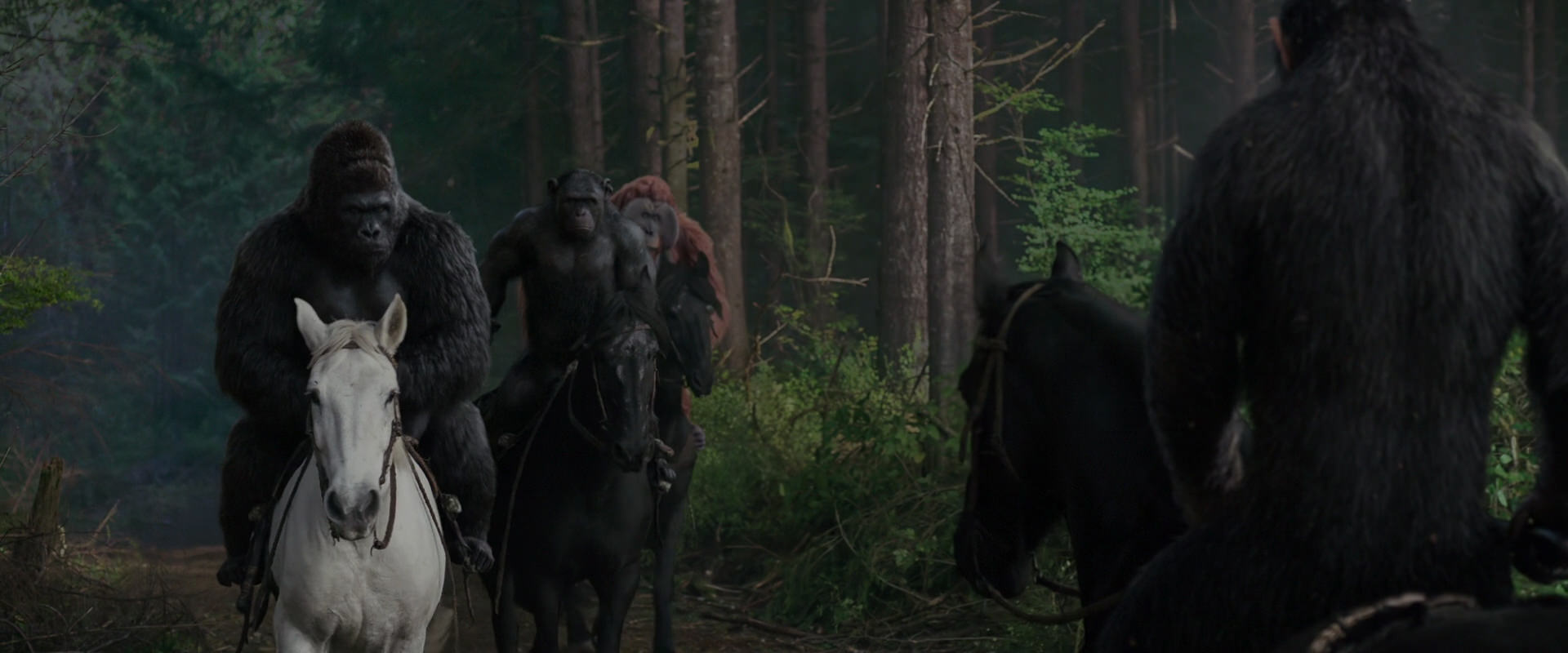 War for the Planet of the Apes (2017) screencap 3048