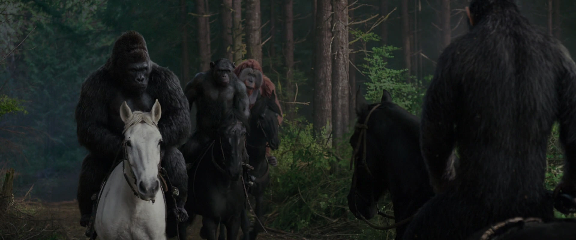 War for the Planet of the Apes (2017) movie still 3049