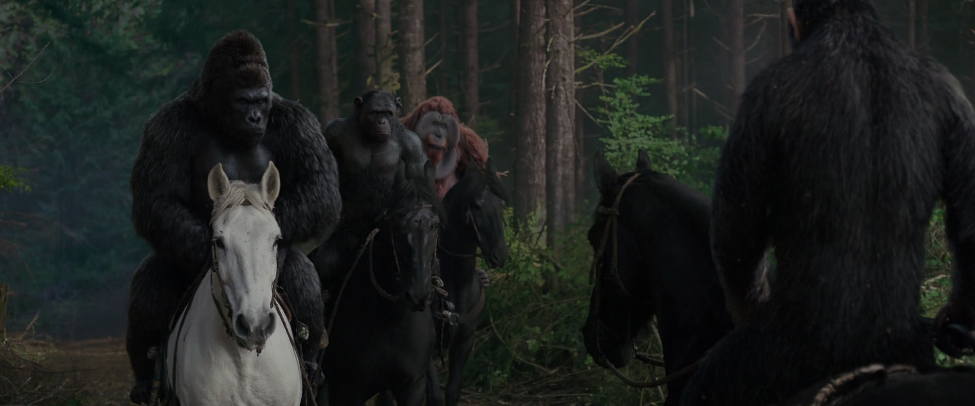 War for the Planet of the Apes (2017) HD screenshot 3050