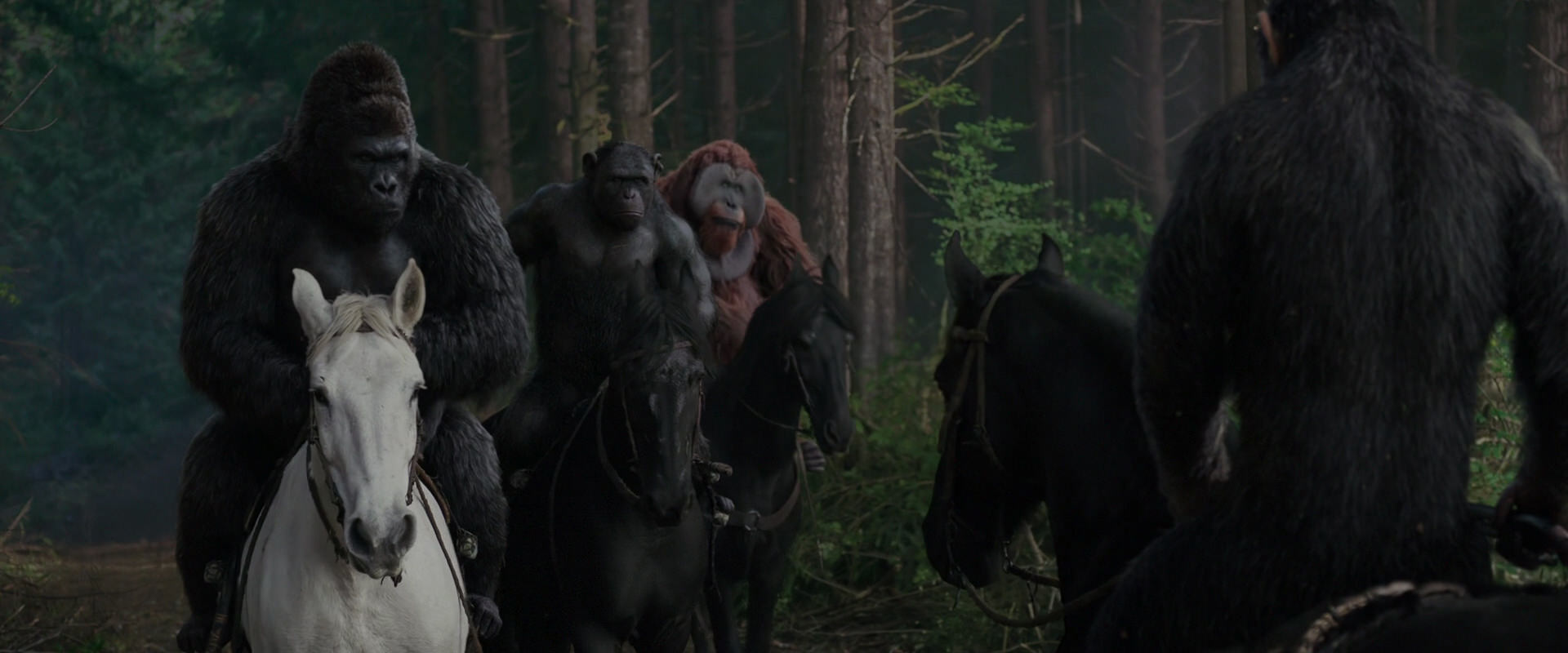 War for the Planet of the Apes (2017) screencap 3051