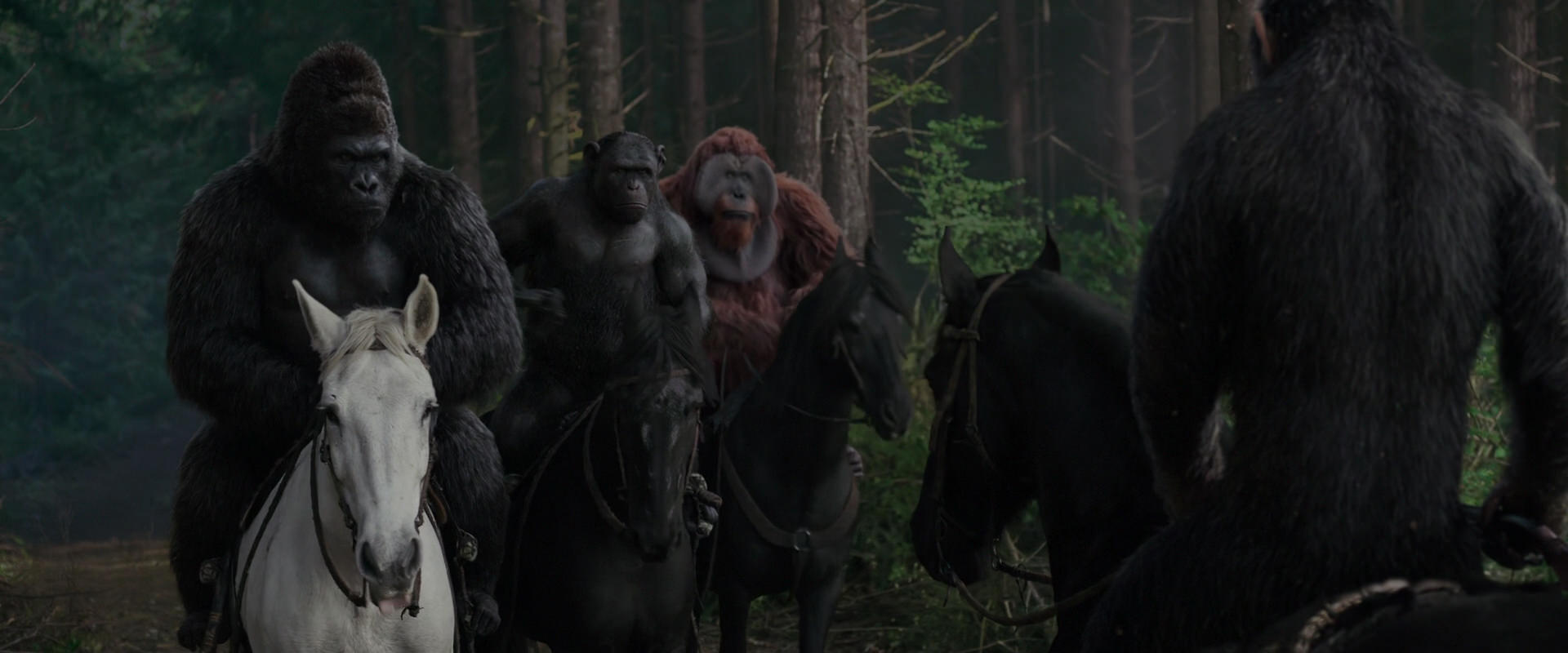 War for the Planet of the Apes (2017) movie still 3052