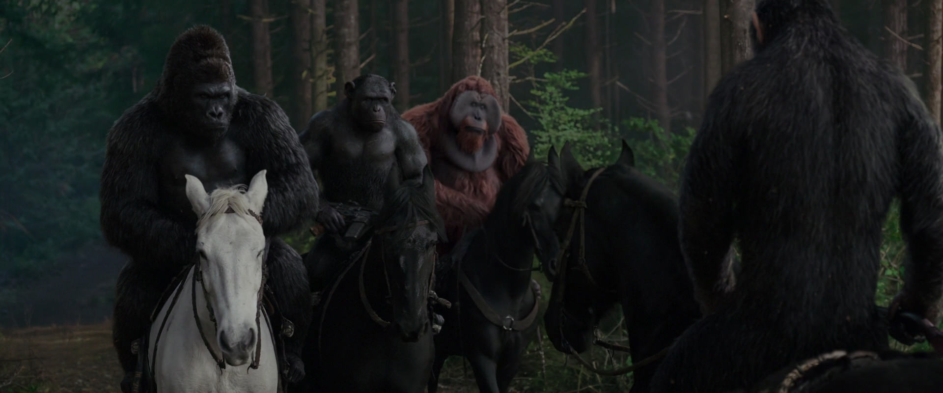 War for the Planet of the Apes (2017) HD screenshot 3053