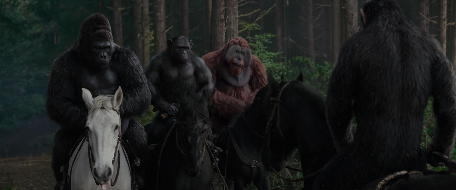 War for the Planet of the Apes (2017) screencap 3054