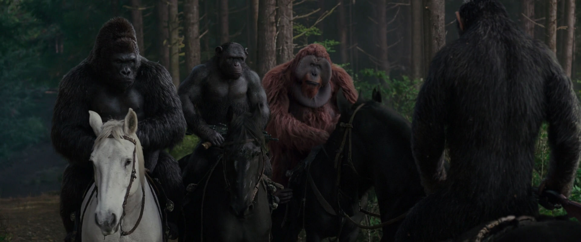 War for the Planet of the Apes (2017) movie still 3055