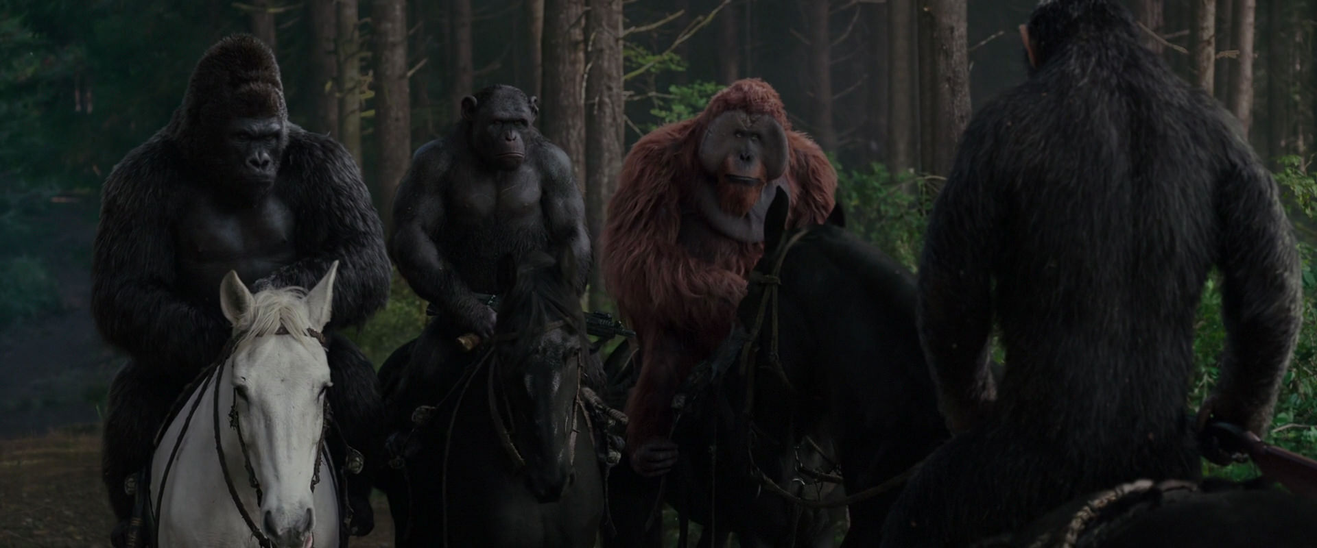 War for the Planet of the Apes (2017) screencap 3057