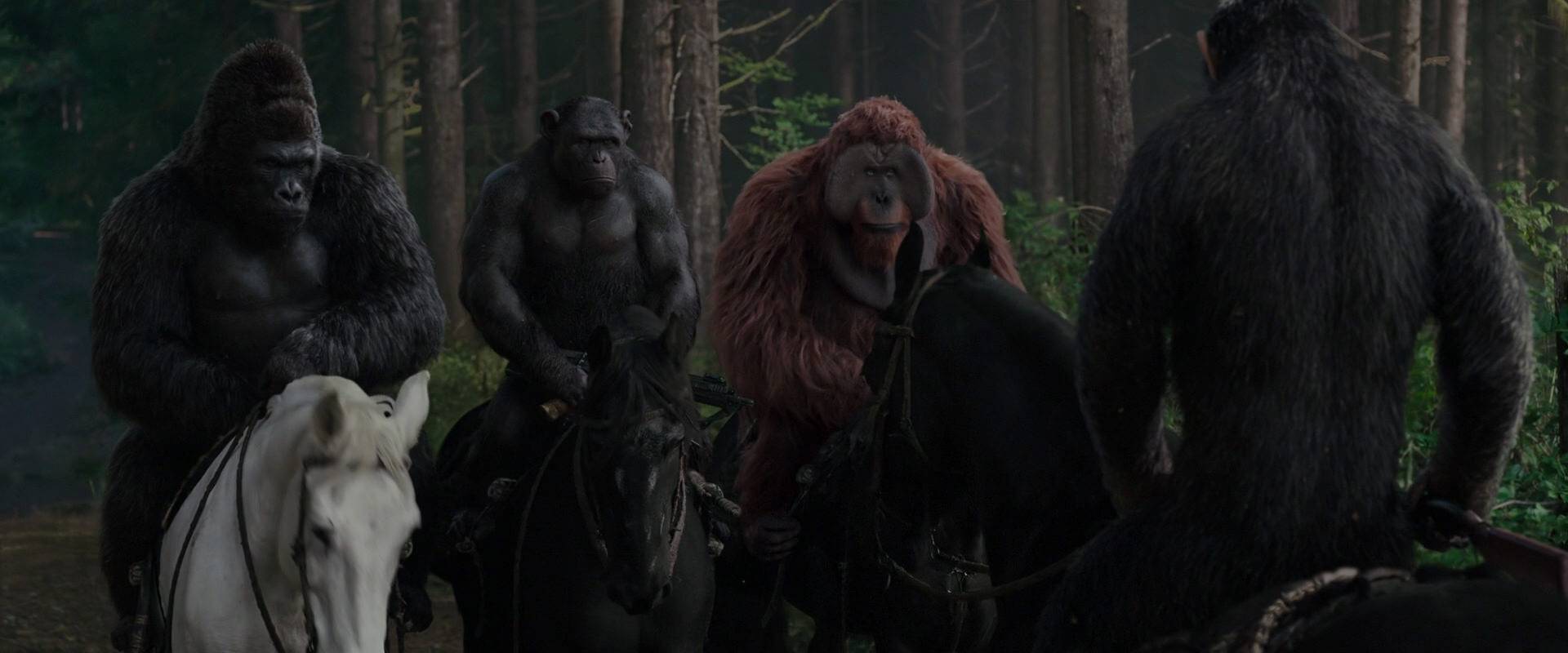 War for the Planet of the Apes (2017) movie still 3058