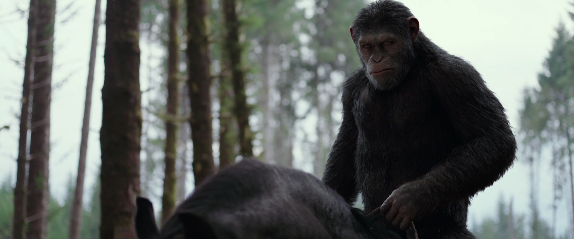War for the Planet of the Apes (2017) HD screenshot 3062