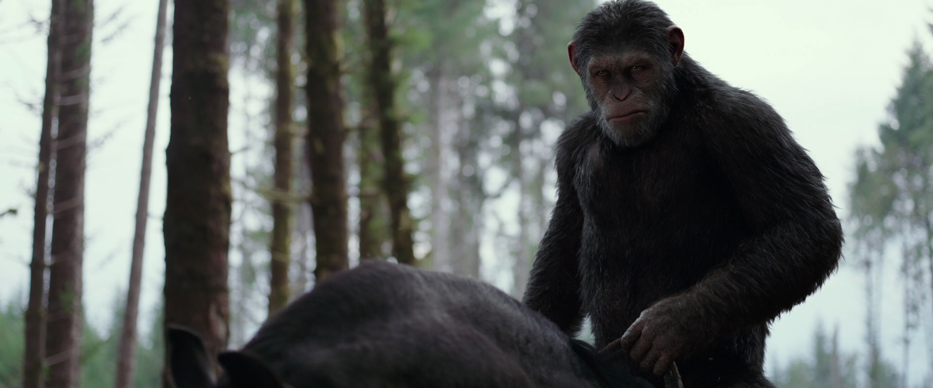 War for the Planet of the Apes (2017) screencap 3063