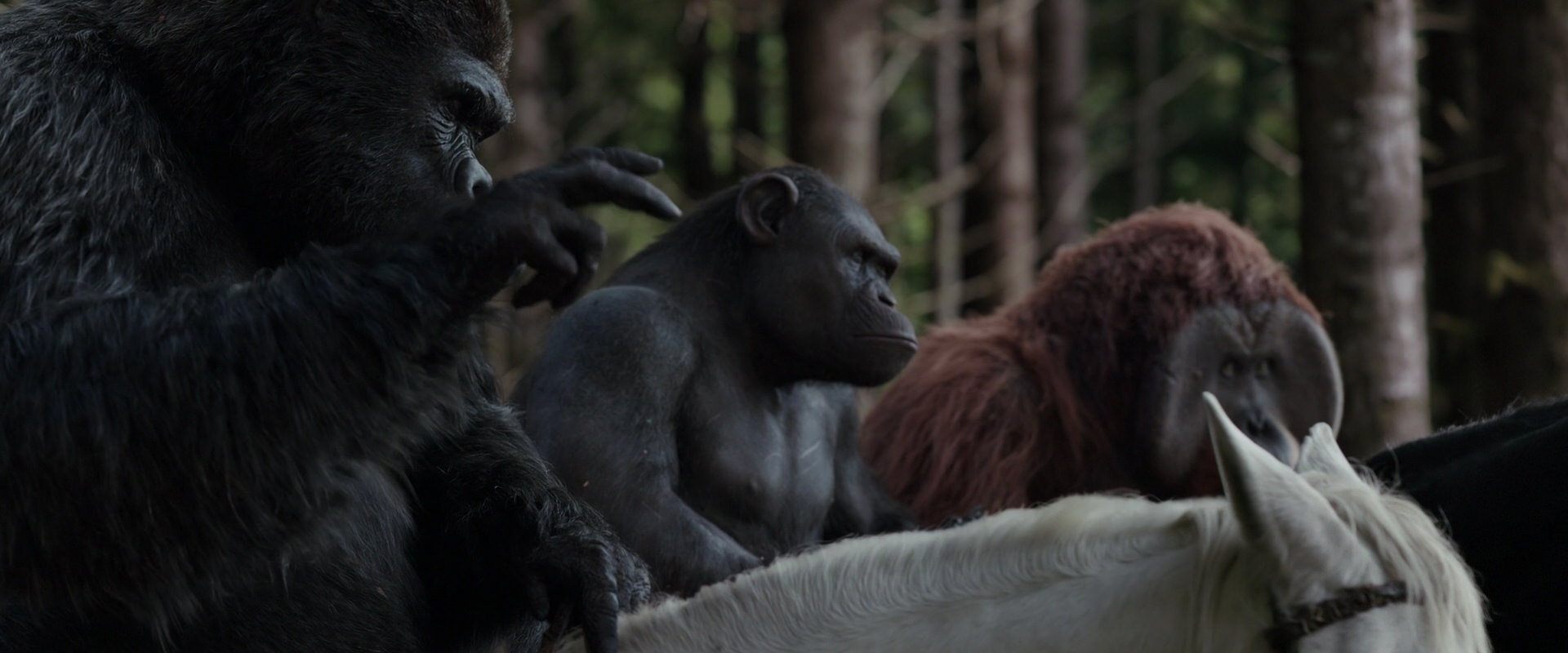 War for the Planet of the Apes (2017) screencap 3066