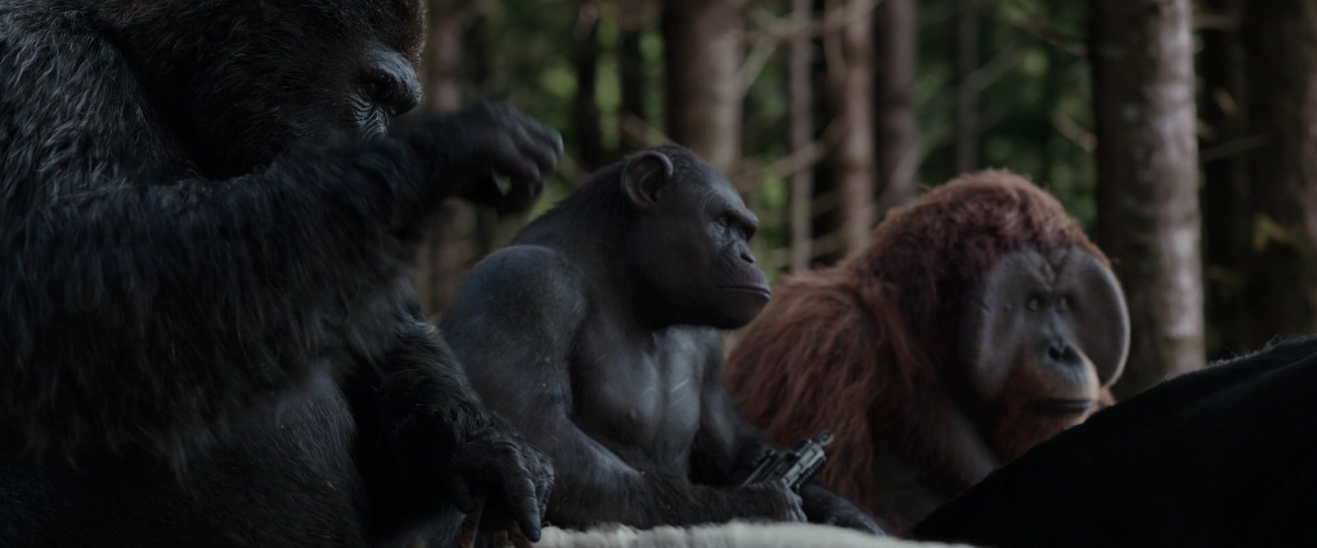 War for the Planet of the Apes (2017) HD screenshot 3068