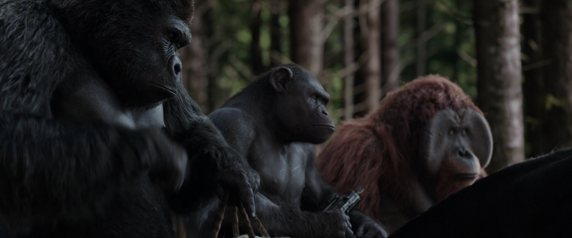 War for the Planet of the Apes (2017) screencap 3069