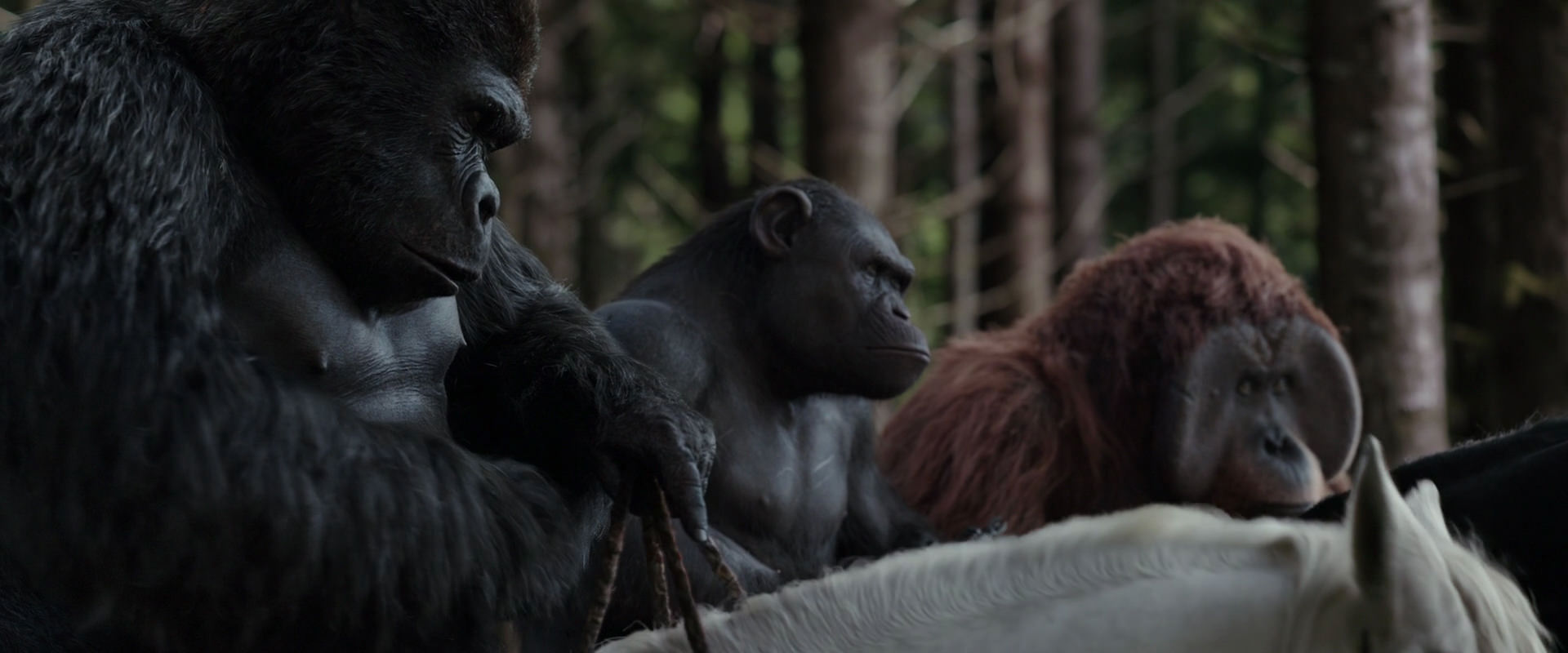 War for the Planet of the Apes (2017) movie still 3070
