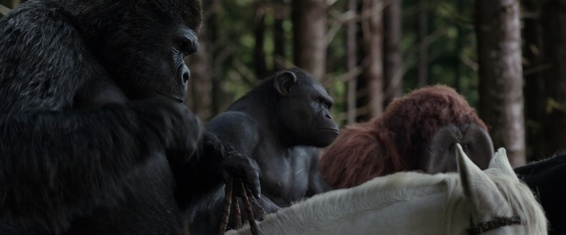 War for the Planet of the Apes (2017) HD screenshot 3071