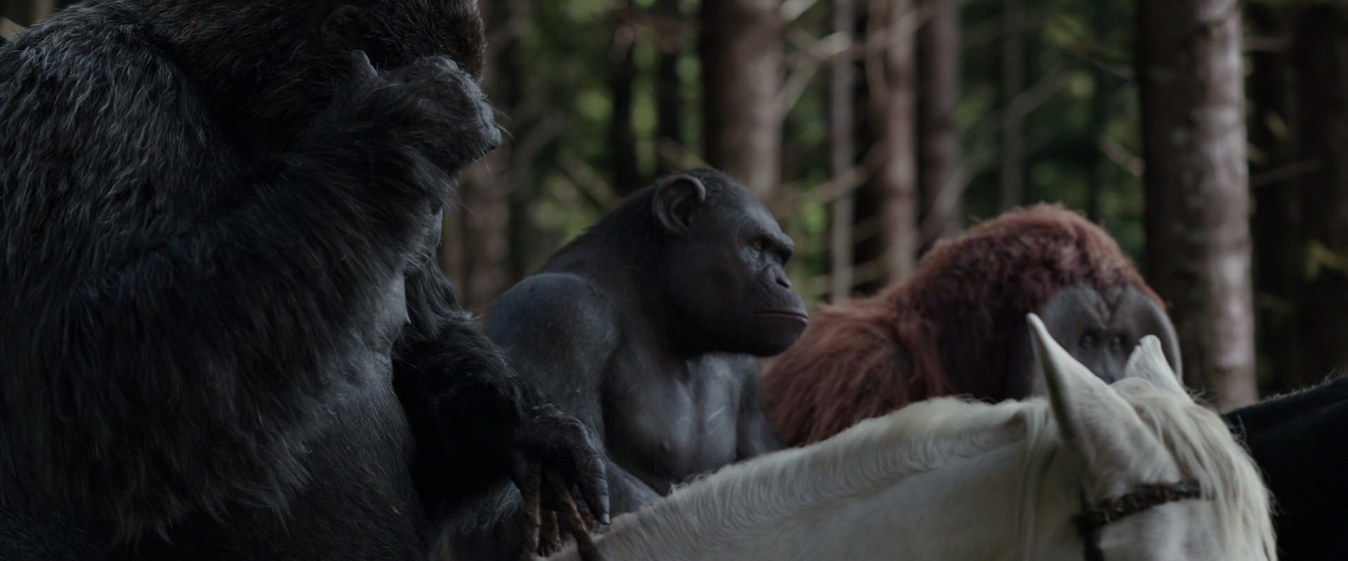 War for the Planet of the Apes (2017) screencap 3072