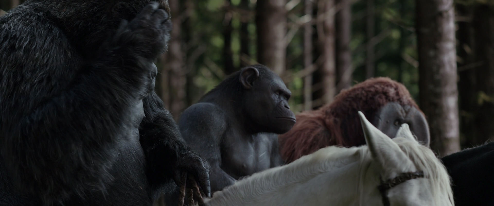 War for the Planet of the Apes (2017) movie still 3073