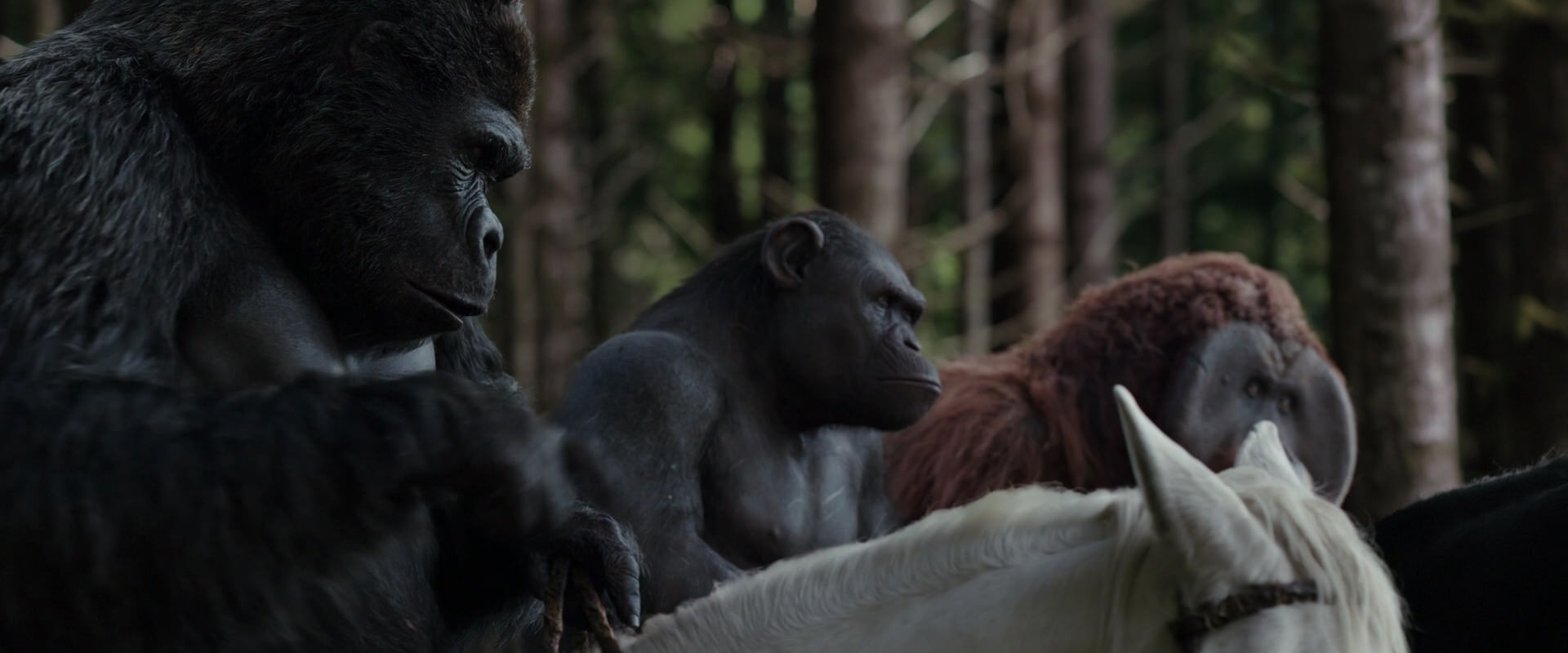 War for the Planet of the Apes (2017) HD screenshot 3074