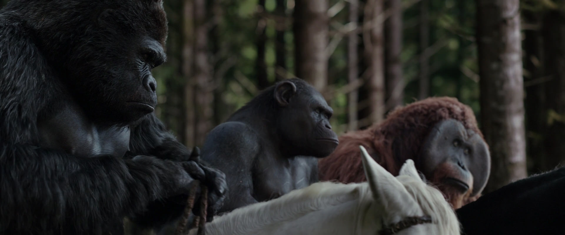 War for the Planet of the Apes (2017) movie still 3076