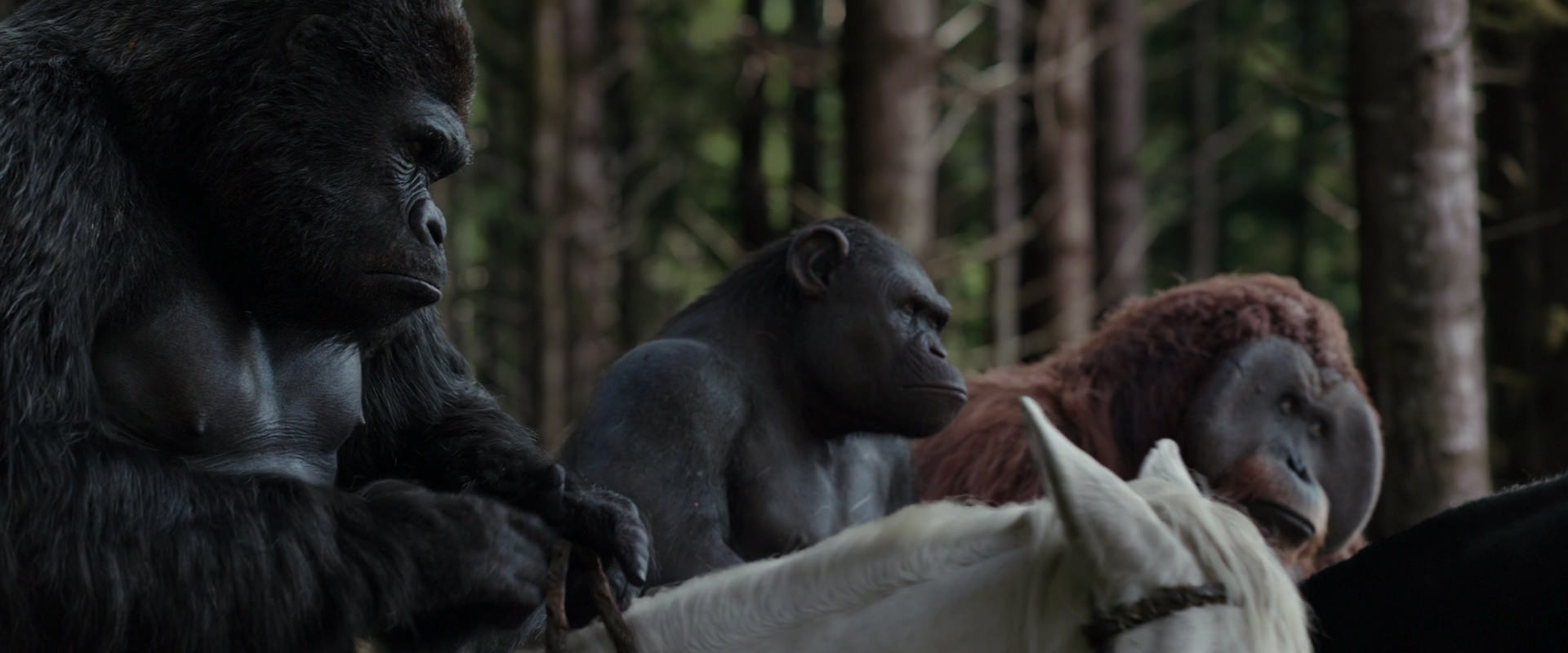 War for the Planet of the Apes (2017) HD screenshot 3077